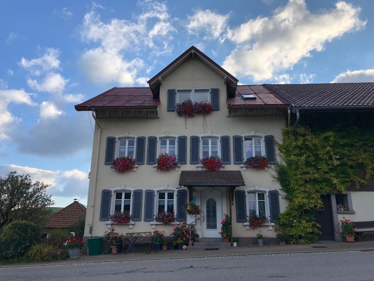 Ferienwohnung Haus Sutter Schopfheim Dış mekan fotoğraf
